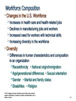 Ch04 international human resource management cengage 