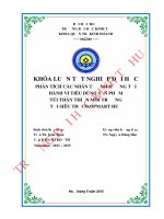 Phân tích các nhân tố ảnh hưởng tới hành vi mua sản phẩm túi thân thiện môi trường tại siêu thị Co.opMart Huế