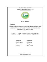 Nghiên cứu ảnh hưởng của mật độ trồng đến khả năng sinh trưởng và năng suất của cây cẩm nhuộm màu thực phẩm tại thái nguyên