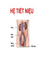 Bài 9   hệ tiết niệu 