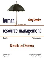 Dessler ch 13 benefits and services