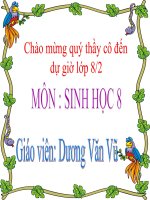 Bài giảng sinh học 8 vệ sinh hô hấp thao giảng (18) 