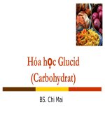 1  hóa học glucid cho BSĐK 