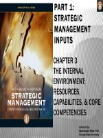 Chapter 3 strategic management competitiveness and globalization 10e