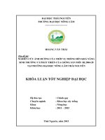 Nghiên cứu ảnh hưởng của thời vụ trồng đến khả năng sinh trưởng và phát triển của giống sắn mới HL200428 tại Trường Đại học Nông Lâm Thái Nguyên.