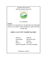 Nghiên cứu ảnh hưởng của tổ hợp phân NPK thích hợp cho cây con trong vườn ươm đối với giống chè PH10 tại Phú Thọ.