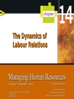 HRM 5th chapter 14 the dynamics of labour relations 