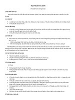 trực khuẩn mủ xanh và các bệnh thường gặp