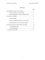 Tiểu luận tìm hiểu việc xây dựng và thực hiện pháp luật về bảo hộ lao động