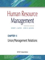 Human resrouce management 13th  mathis jacson chapter 016