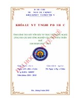 Tình hình thu hút vốn đầu tư trực tiếp nước ngoài (FDI) vào các khu công nghiệp của tỉnh Thừa Thiên Huế giai đoạn 2007 - 2014