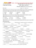 Đề kiểm tra 1 tiết HK1 môn Tiếng Anh lớp 10 trường THPT Tân Quới, Vĩnh Long năm học 2016 - 2017 (Lần 1) có đáp án