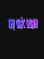 Mắt mô phôi y hà nội