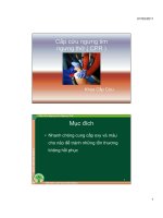 Cấp cứu ngưng tim ngưng thở  dị vật đường thở 