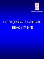 MIỄN DỊCH bài 2   tế bào và cơ quan miễn dịch   ths  tú anh 