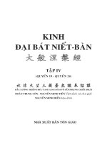 Kinh Đại Bát Niết Bàn Tập IV