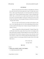 Tiểu luận kết cấu, tính toán và thiết kế ly hợp ô tô