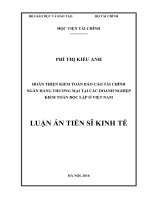 Hoàn thiện kiểm toán báo cáo tài chính ngân hàng thương mại tại các doanh nghiệp kiểm toán độc lập ở Việt Nam