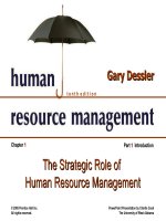 Dessler ch 1 the strategic role of human resources managemen 