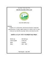 Nghiên cứu ảnh hưởng chế phẩm sinh học NEB26 đến sinh trưởng và phát triển giống lúa Nông lâm 7 vụ Mùa 2014 tại trường Đại học Nông lâm – Thái Nguyên