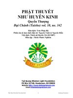 Phật Thuyết Như Huyễn Kinh Quyển Thượng
