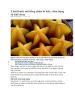 5 bài thuốc nổi tiếng chữa lở loét 