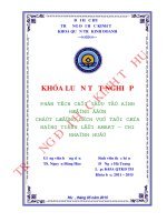 Phân tích các yếu tố ảnh hưởng đến chất lượng dịch vụ tại cửa hàng tiện lợi Amart – Chi nhánh Huế