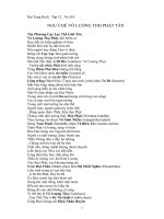 Ngự Chế Vô Lượng Thọ Phật Tán