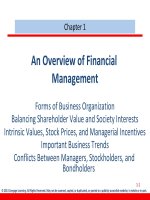Finance management cengage 2013 chapter 01 