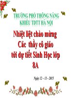 Bài giảng sinh học 8 t24 tiêu hóa và các cơ quan tiêu hóa (4) 