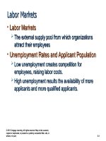 Ch06 international human resource management cengage 