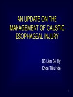 An update on the management of caustic esophageal injury 