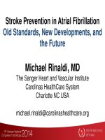 Dự phòng đột quỵ ở người rung nhĩ  chuẩn mực cũ, phát triển mới và tương lai 