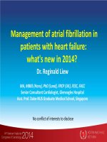 Rung nhĩ ở người bệnh suy tim  điều trị năm 2014 có gì mới 