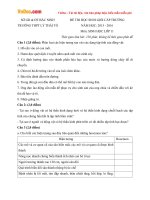 Đề thi học sinh giỏi cấp trường môn Sinh học lớp 11 trường THPT Lý Thái Tổ, Bắc Ninh năm học 2015 - 2016