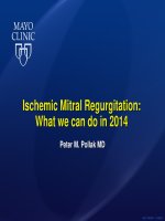 Hở van hai lá do thiếu máu cơ tim  có gì mới năm 2014  