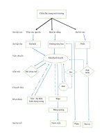 ĐỘC HỌC MÔI TRƯỜNG SỰ THAY ĐỔI MÔI TRƯỜNG VÀ ẢNH HƯỞNG TỚI SỨC KHỎE