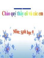 Bài giảng lai 2 cặp tính trạng sinh học 9 