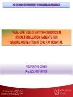 Thực trạng sử dụng thuốc chống huyết khối trong dự phòng đột quỵ trên người bệnh rung nhĩ 