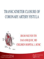 Đóng rò động mạch vành vào các buồng tim 