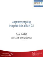 Angiosome ứng dụng trong chẩn đoán và điều trị bệnh nhân thiếu máu chi trầm trọng 