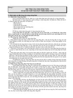 Quy hoạch và phát triển nông thôn