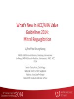 Khuyến cáo mới về bệnh van tim của hội tim mạch châu âu và hoa kỳ 