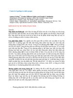 Các phương pháp bảo quản nho