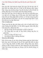 Các triệu chứng của bệnh ung thư dạ dày giai đoạn cuối