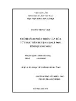 Chính sách phát triển văn hóa từ thực tiễn huyện đảo lý sơn, tỉnh quảng ngãi