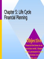 Corporate finance chapter 06 life cyle financial planning 
