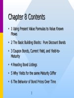 Corporate finance chapter 08 contents 
