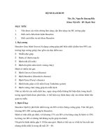 tài liệu BỆNH BASEDOW 