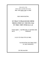 Xử phạt vi phạm hành chính trong lĩnh vực thương mại từ thực tiễn tỉnh Gia Lai